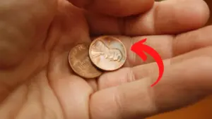 The Lincoln Wheat Penny Valued at $300 Million, Still in Circulation