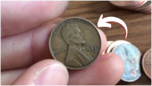 The Rare Lincoln Wheat Penny Worth $120 Million, Still in Circulation?